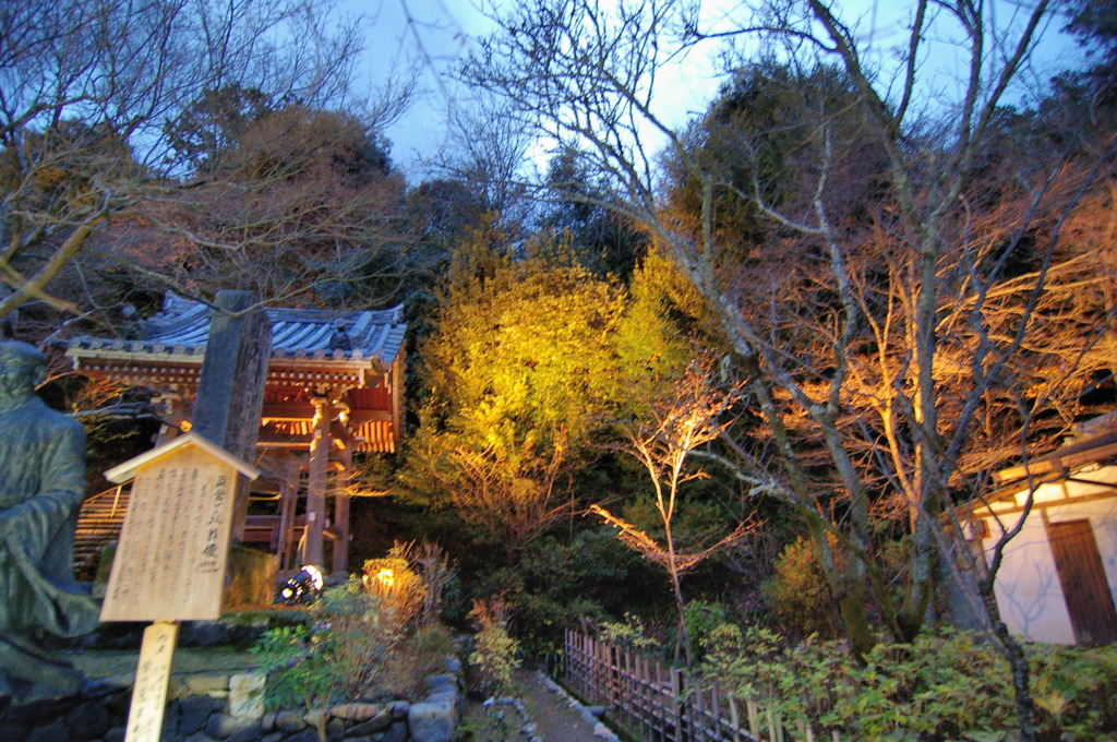 嵐山
