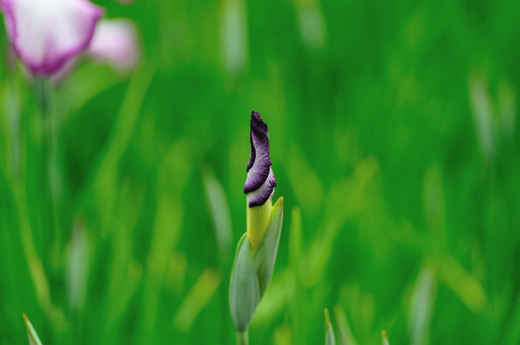 もう少し…待ってね。