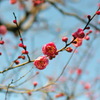 万博公園