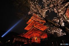 2016年4月　清水寺