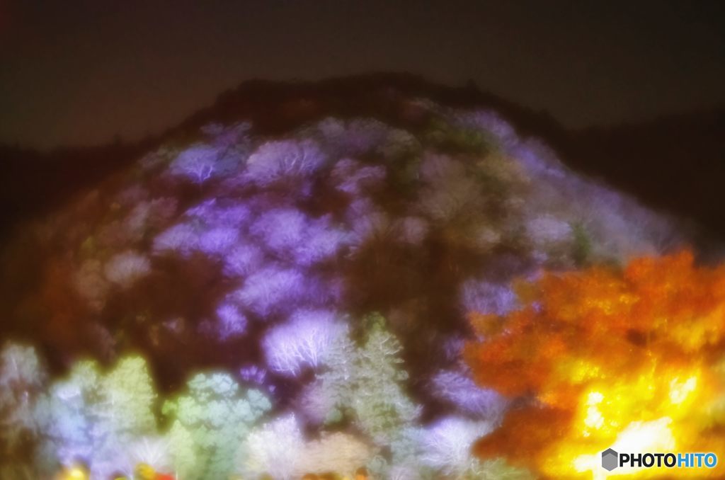 2015年12月　嵐山・花灯路