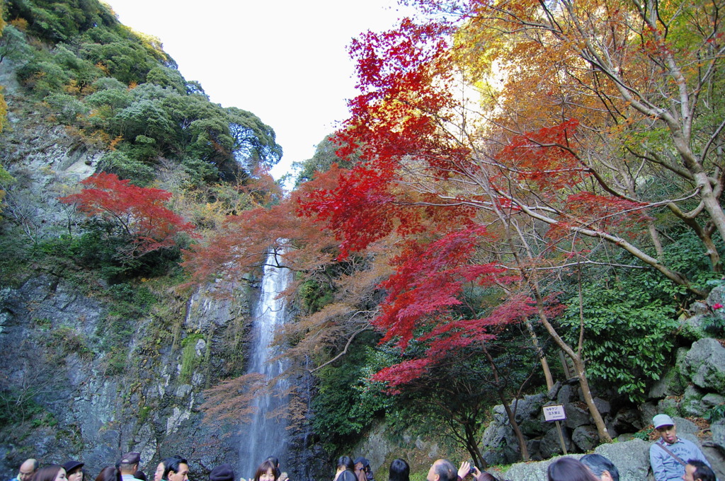 箕面滝道