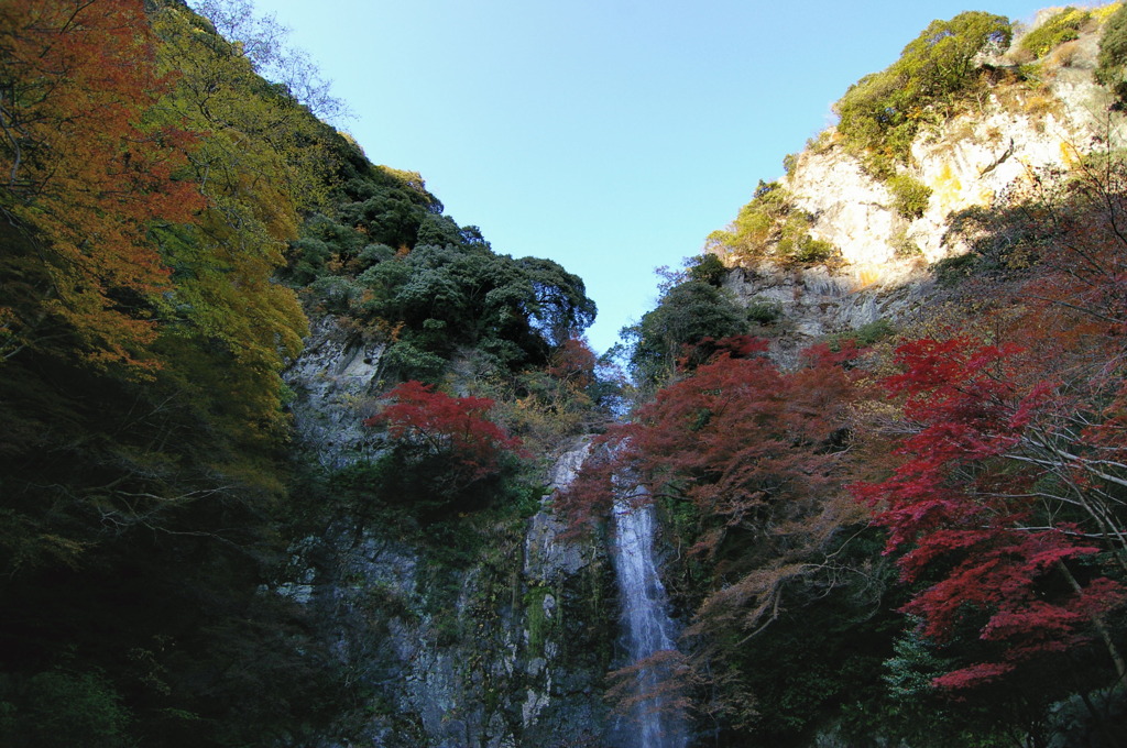 箕面滝道