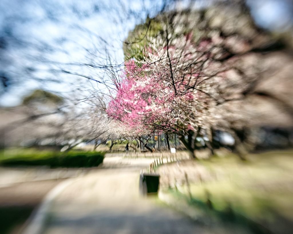 2018年3月　農業公園