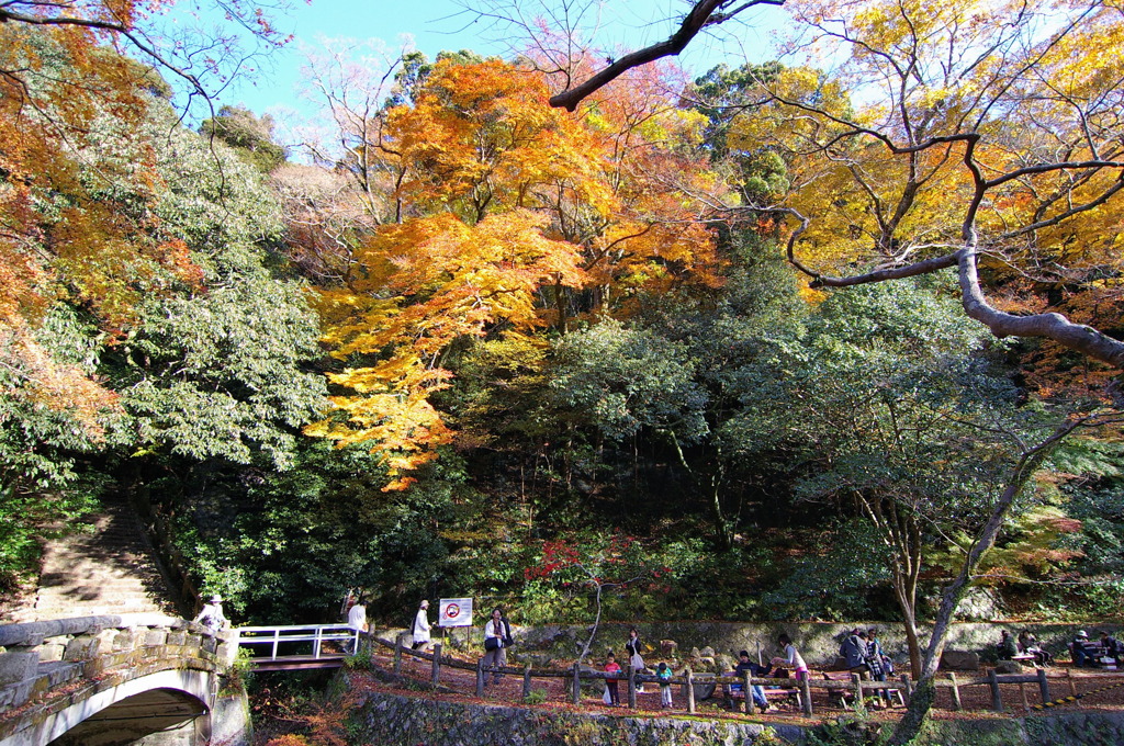 箕面滝道