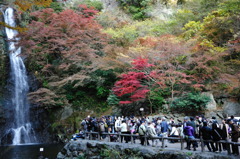 箕面の滝