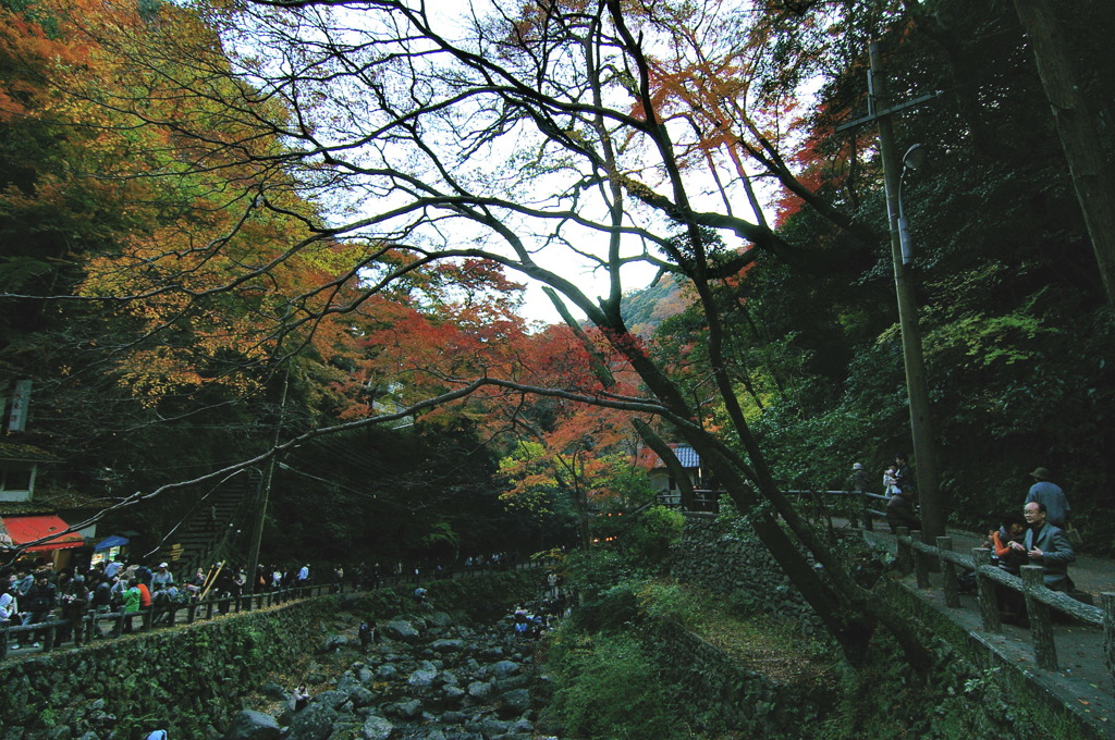 箕面滝道