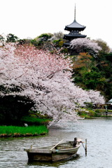 三渓園