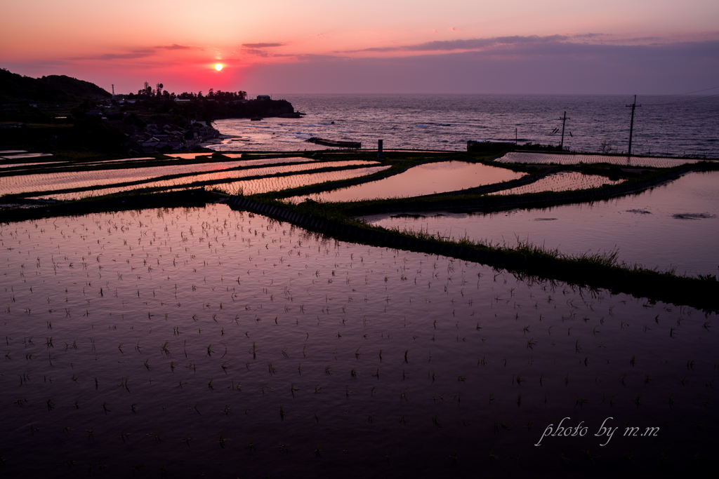 棚田の夕景