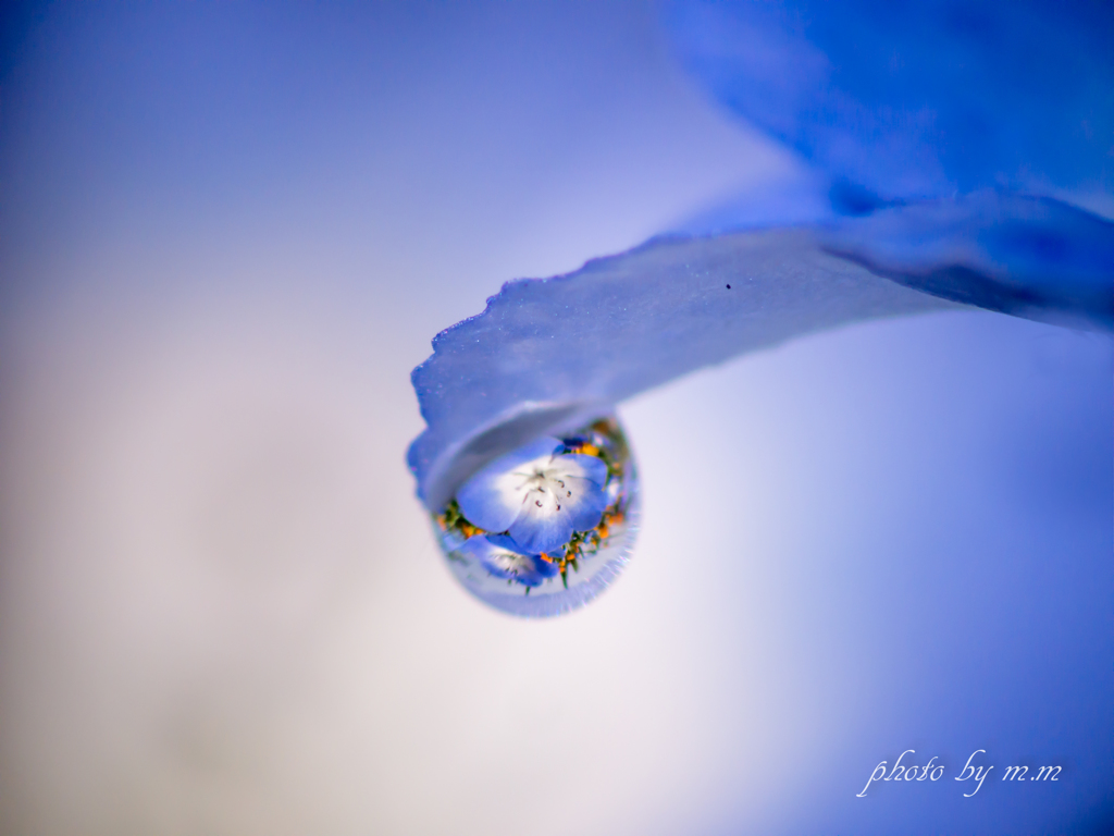 BORN TO BE BLUE