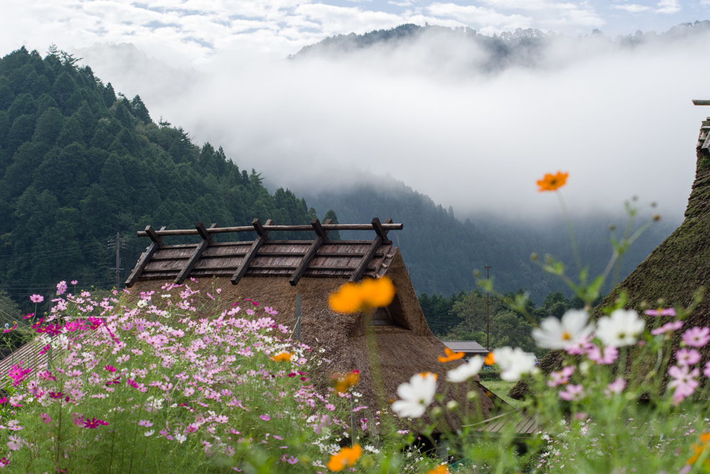 初秋の山里