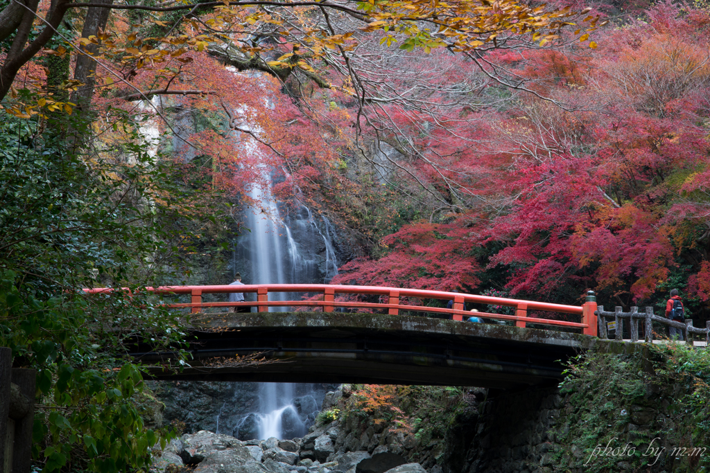 滝の彩り