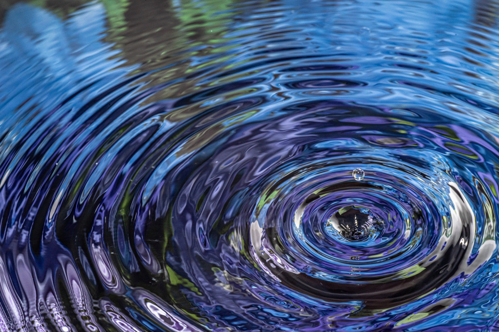 水の花