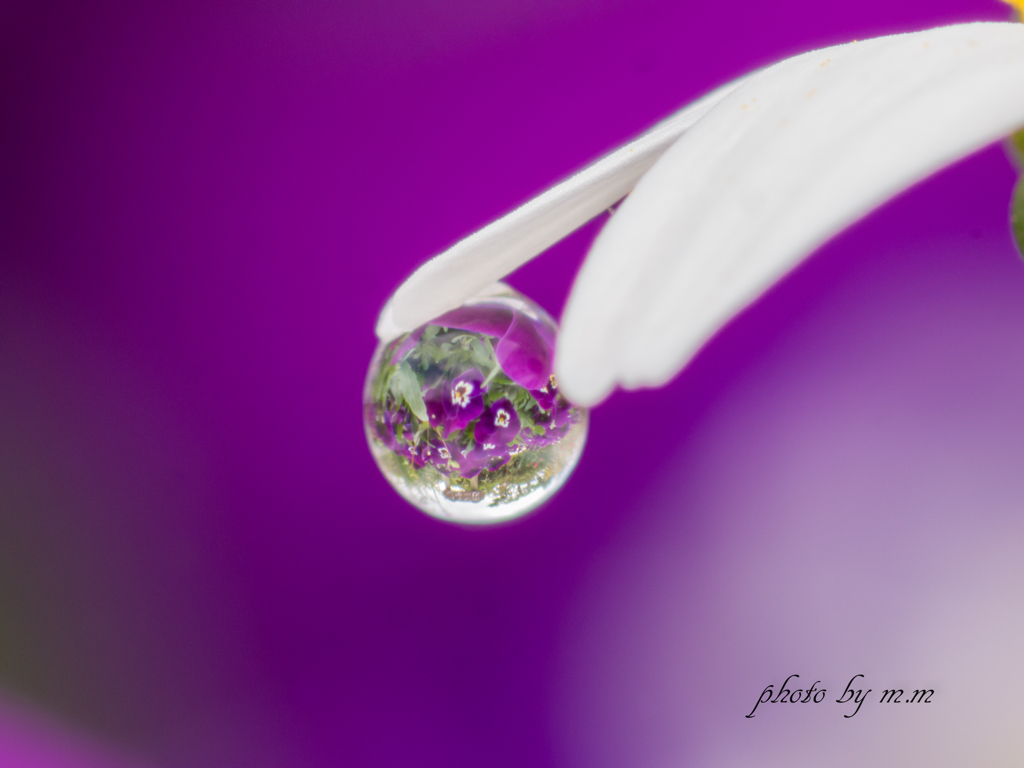 Lonely spring