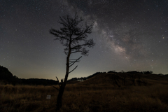 ひとりぼっちの星空