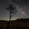 ひとりぼっちの星空
