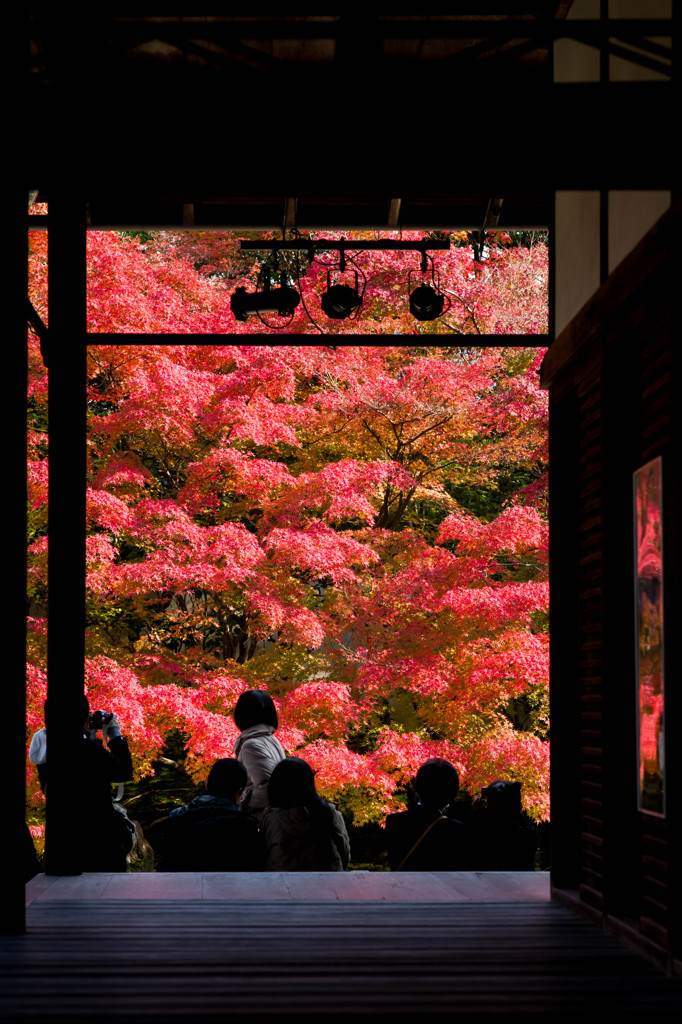 華やかに