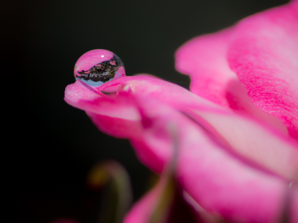 tenderness