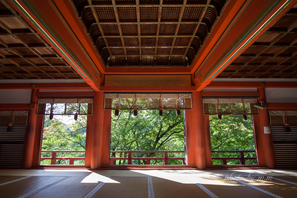 神廟拝所の緑
