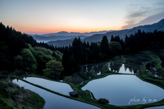 早暁の水田 Ⅱ