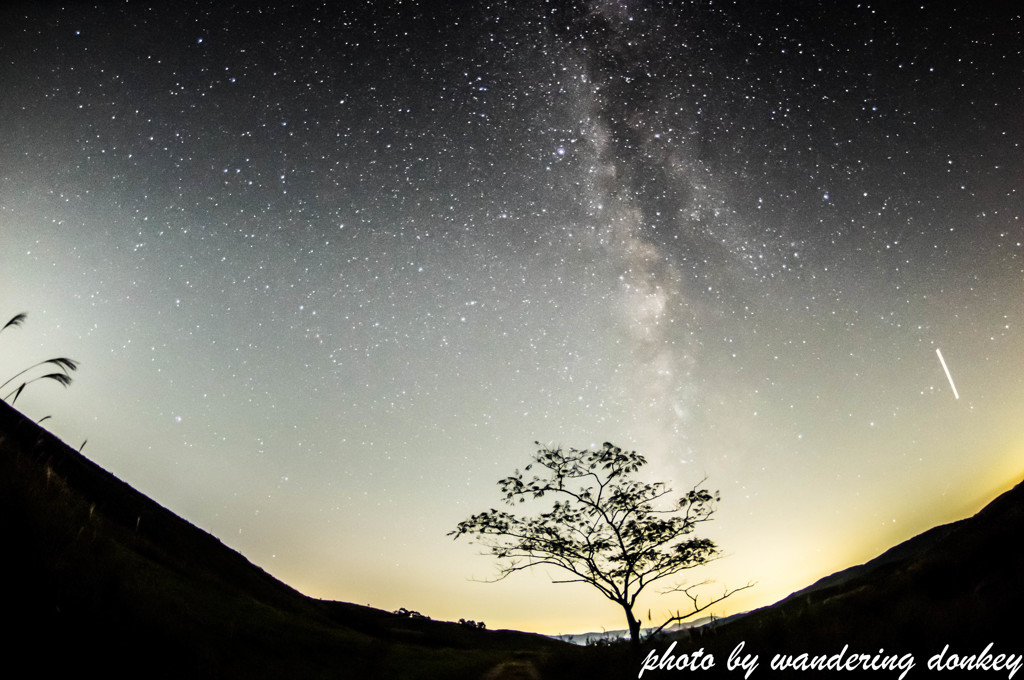 alone