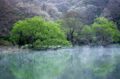 朝靄の水辺