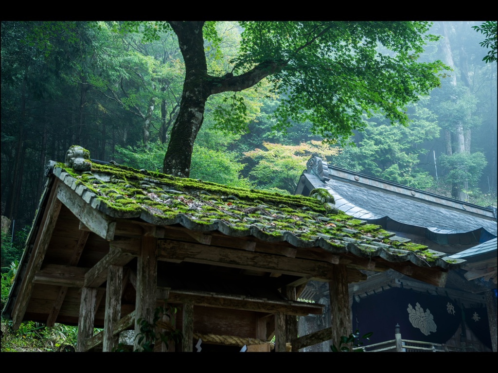 木霊