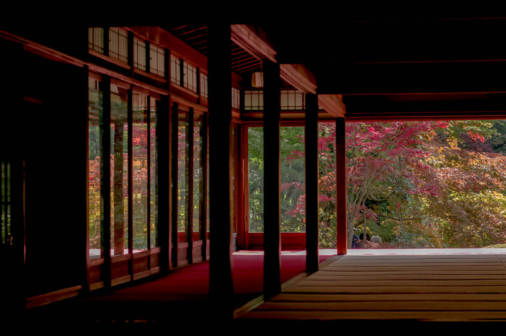 紅の光