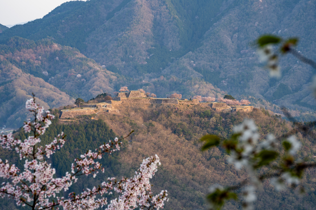 遠望の城跡