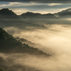 The Fog