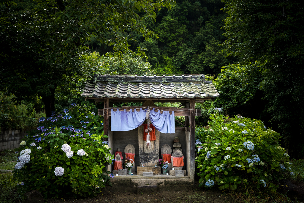 お地蔵さんの紫陽花