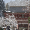 雪踊る鞍馬寺