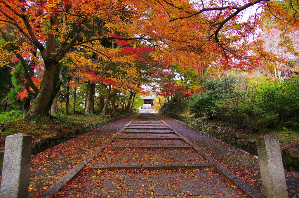 彩の山門