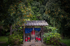 地蔵柿 地蔵柿