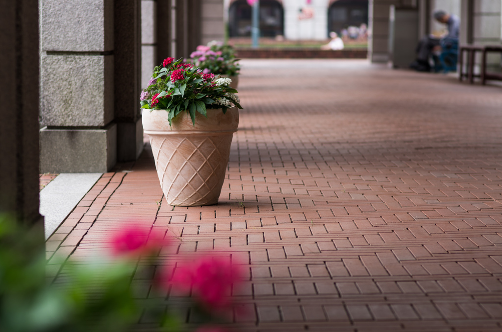 花飾りの回廊