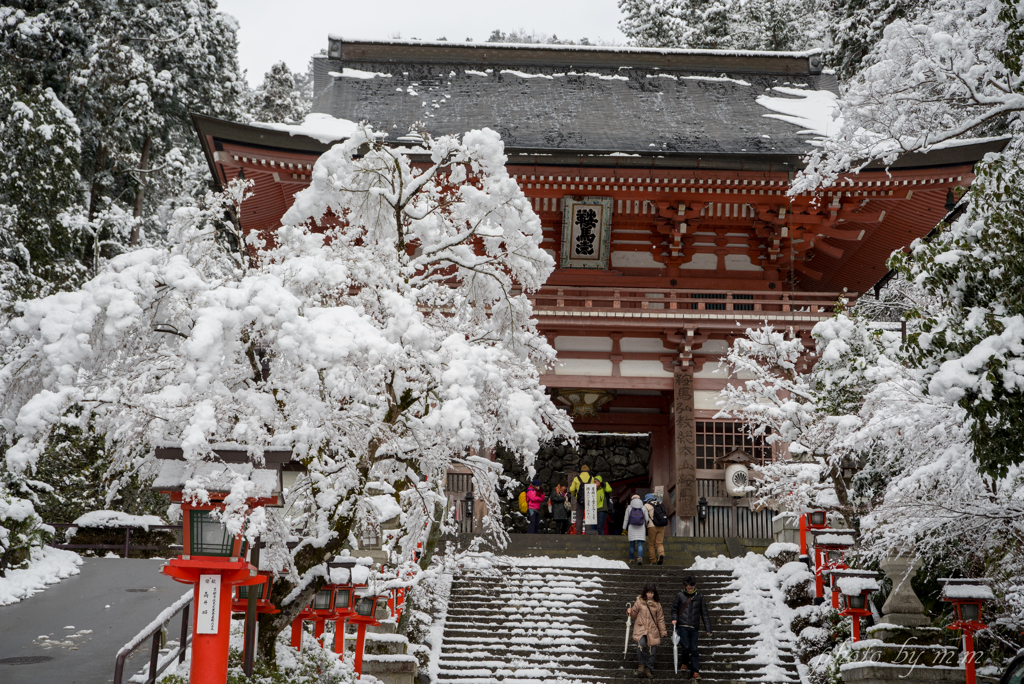 雪花の山門