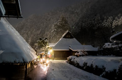 雪木立