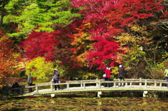 森林植物園の賑わい