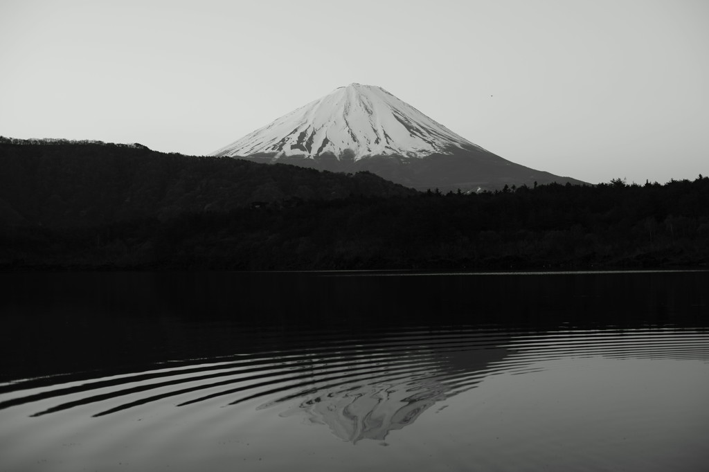 富士探訪Ⅺ～波紋～