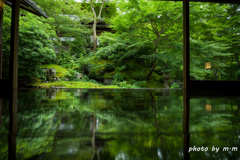 瑠璃光院　臥龍の庭