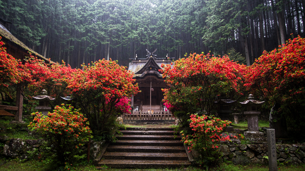 真紅に降る雨