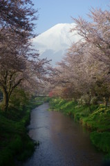 富士探訪Ⅳ－霞の小川