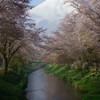 富士探訪Ⅳ－霞の小川