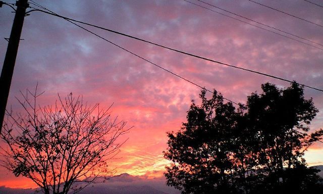 夕方