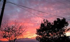 夕方