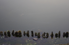 鍛錬