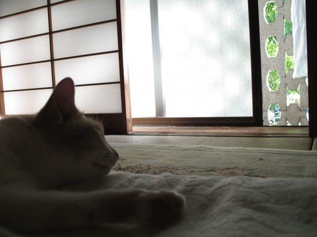 まどろみ