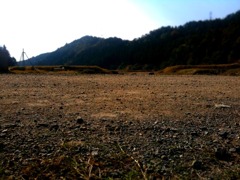 dirt trial