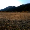 dirt trial