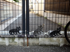 ねこ
